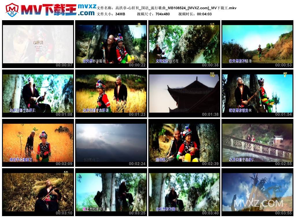 高洪章-心肝贝_国语_流行歌曲_MB108524